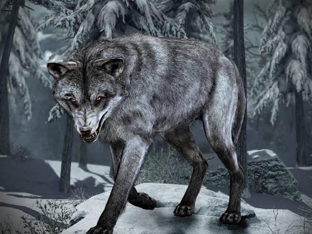 Call Of Duty Ghosts For Ps4 Ps3 And Pc Gets Wolf Skin Dlc Techienews Co Uk