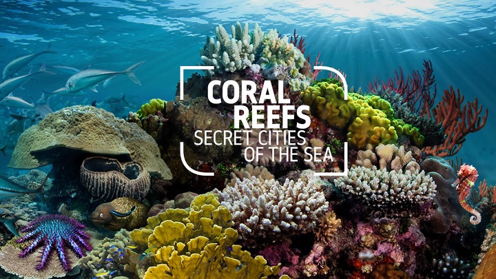 Coral Reefs exhibition at Natural History Museum starting from March 27 ...