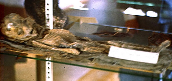 Roswell Alien Photo Revealed as Mummified Boy - Seeker