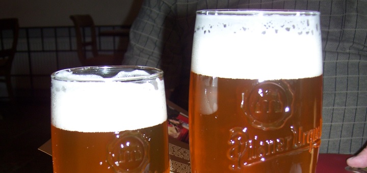 DNA analysis reveals more information about lager yeast
