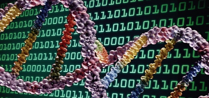 DNA won't replace hard drives anytime soon