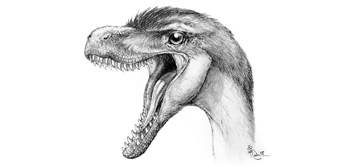 Teeth fossils identify six non-avian dinosaurs of the Upper Cretaceous in Spain