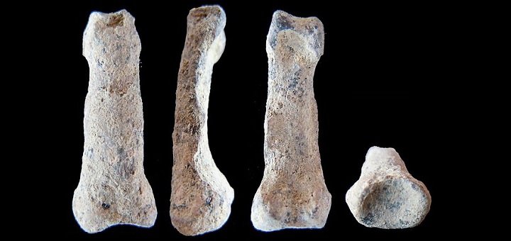 Bone discovery pushes back oldest 